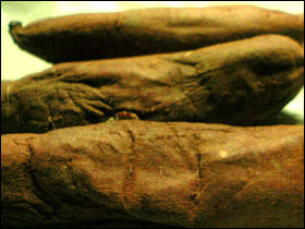 f018.jpg