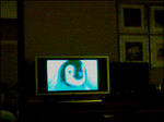 ho016.jpg
