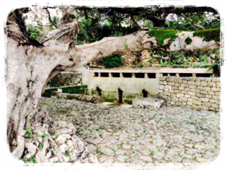 image-20140105201906.png