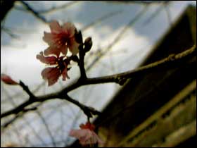 f027.jpg