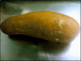 f031.jpg