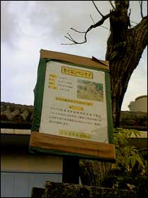 hana059.jpg